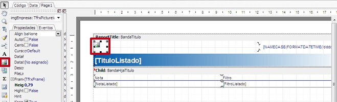 insertar objeto imagen en el informe