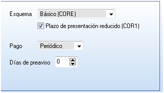 Esquema y plazo de presentación reducido en el mandato